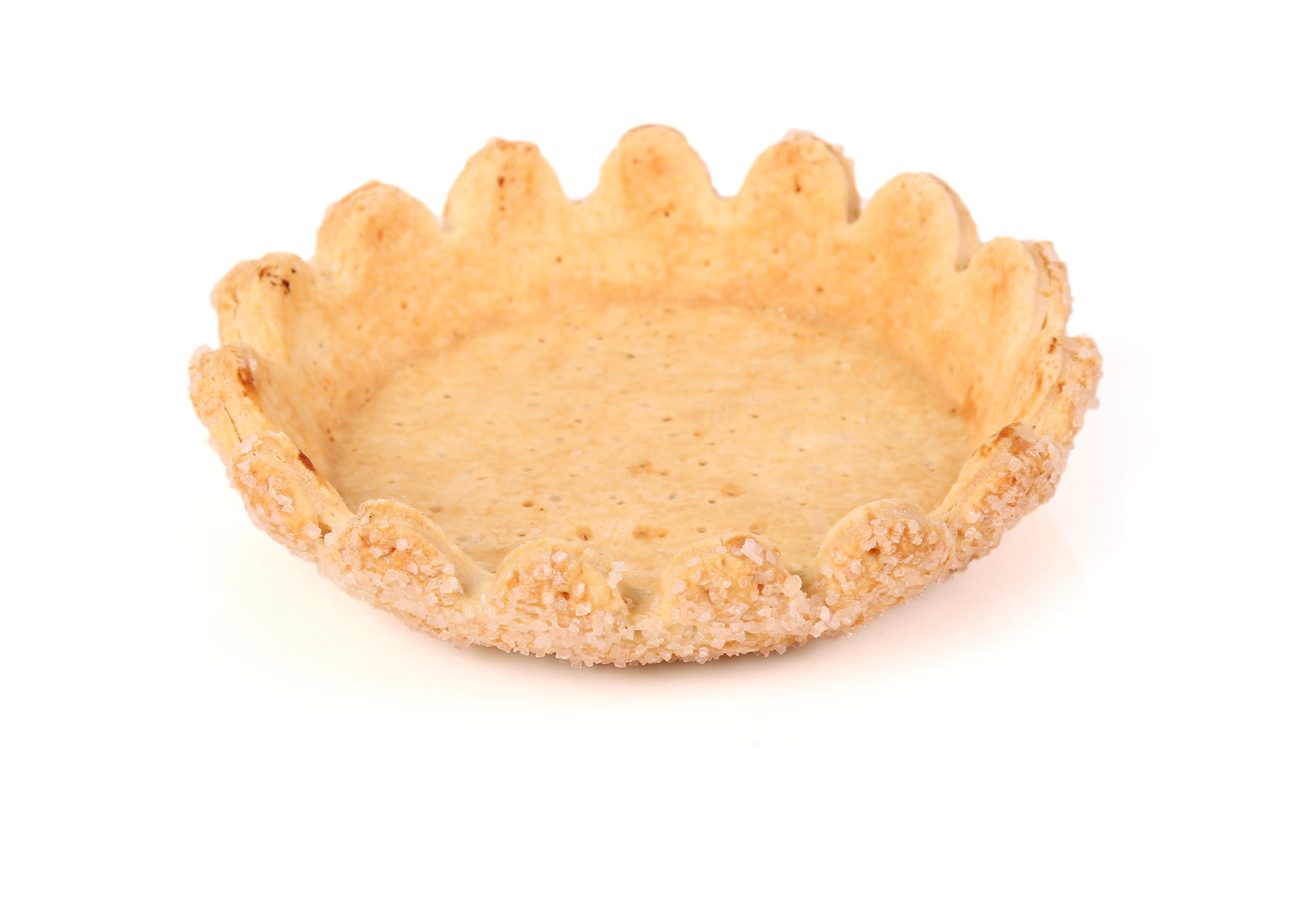 Flower Shell 6 inch